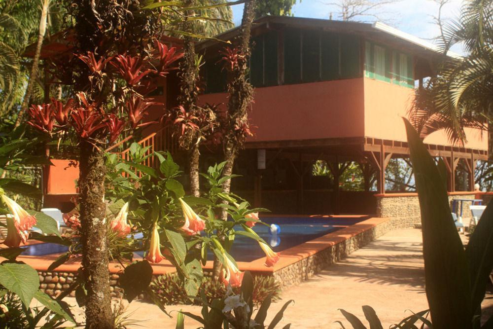 Perla Negra Hotel Puerto Viejo de Talamanca ภายนอก รูปภาพ